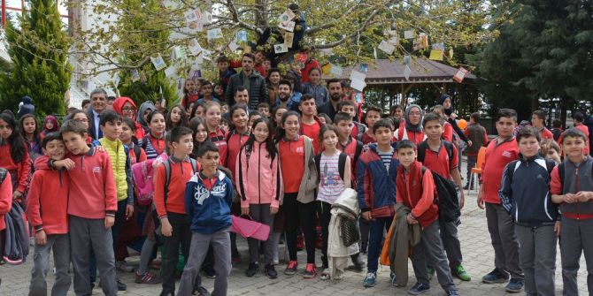 Ağaçlar Kitap Açtı