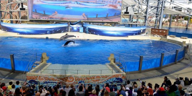 Yetim Çocuklara Özel Tatil