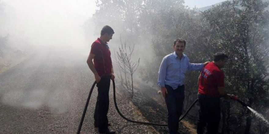 Adıyaman’da, Orman Yangını