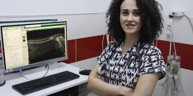 Bu Mamaları Her Yere Koymayın