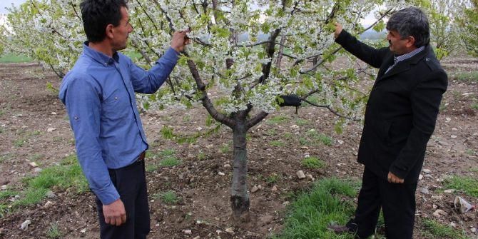 Ani Hava Değişiklikleri Çiftçileri Strese Soktu