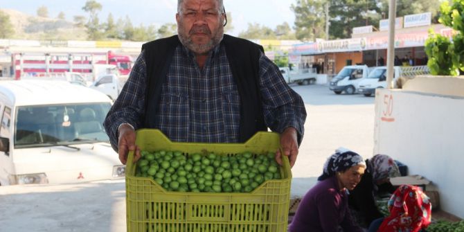 Erkenci Sofralık Kayısının Kilosu 15 Lira