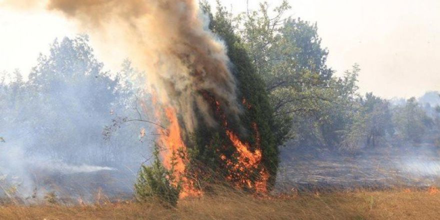 Uzunköprü’deki Orman Yangını