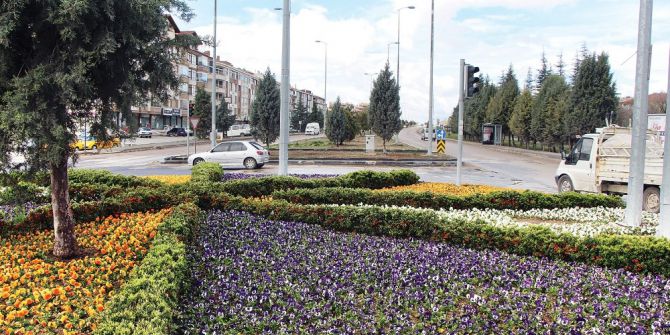 Büyükşehir Belediyesi, Ankara’yı 10 Milyon Çiçekle Donatıyor