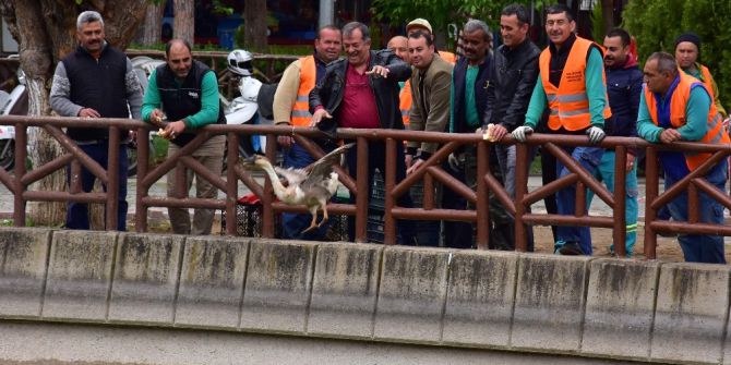 Sümer Parkın Yeni Sahipleri Çocuklar İle Tanışmaya Hazır