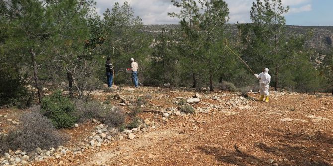 Mersin’de Orman Zararlılarıyla Biyolojik Mücadele Sürüyor