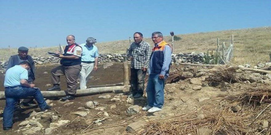 Tavanı Çöken Ahırda Koyunlar Telef Oldu