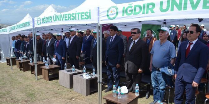 Iğdır Üniveristesi Suveren Kampüsü Ağaçlandırılıyor