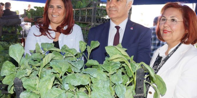 Aydın’da 70 Bin Adet Yerli Tohum Fide Dağıtımı Yapıldı