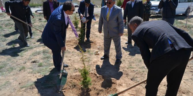 Kulu’da 7 Bin 500 Fidan Toprakla Buluşturuldu