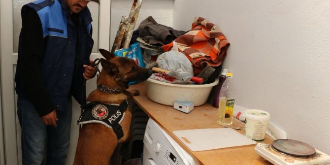 Manisa’da Narkotik Uygulaması