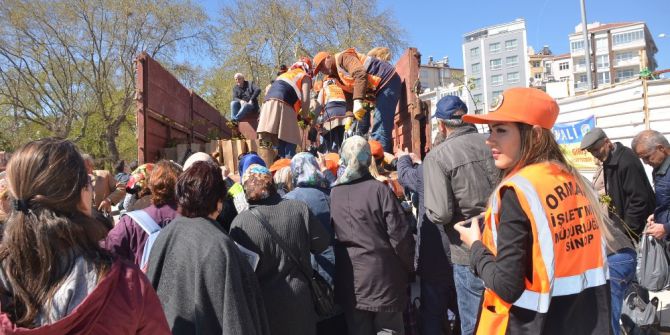 Sinop’ta Ücretsiz Fidan Dağıtıldı