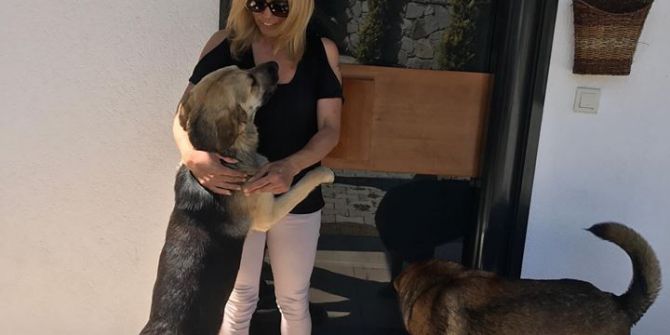 Havlayan Köpeği Levyeyle Dövdü