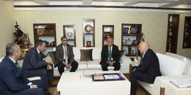 Sahipsiz Hayvanların Rehabilitasyonu Protokolü