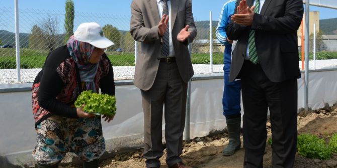 Engelleri Tarımla Aşıyorlar