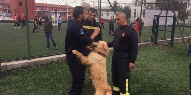 İtfaiye Ekipleri K9 Eğitimi Alıyor