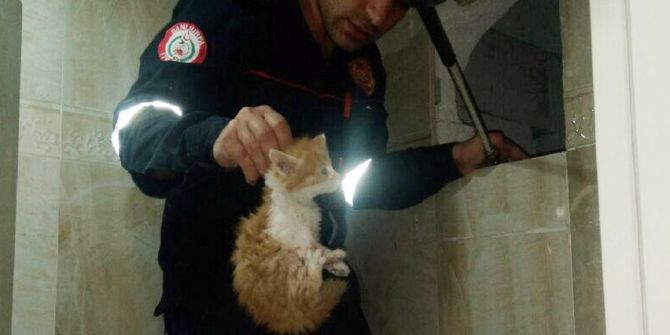 Binanın Havalandırma Boşluğunda Sıkışan Kediler Kurtarıldı