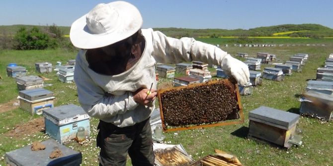 Arılarıyla Bin 500 Kilometre Yol Yaptılar
