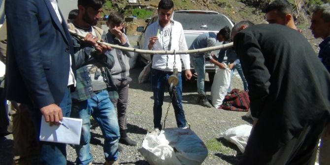 Uçkun Bitkisi Beytüşşebaplıların Geçim Kaynağı Oldu