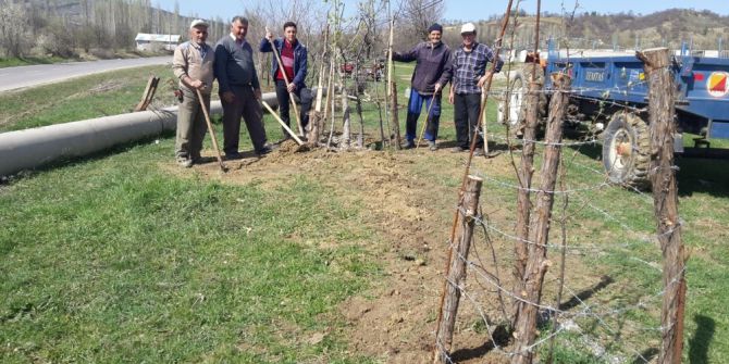 Gönüllü İnsanlar Onlarca Fidan Dikti