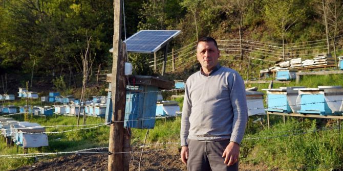 Arı Kovanlarını Ayılardan Korumak İçin Nöbet Tutuyorlar