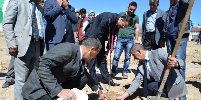 Adilcevaz’da Üniversite Öğrencileri Fidan Dikti