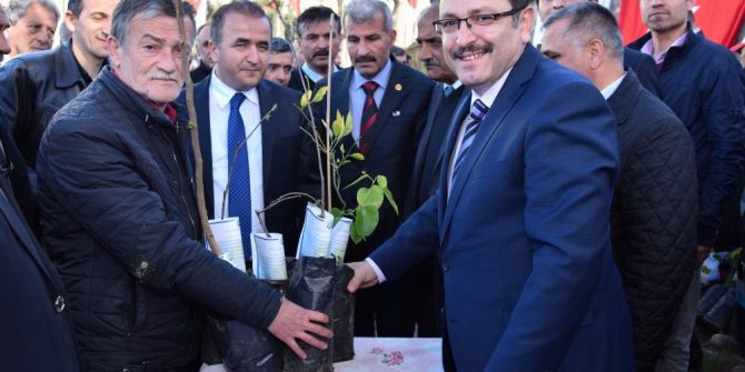 ’Yöresel Meyve Çeşitlerinin Korunması Ve Yaygınlaştırılması Projesi’ Kapsamında Vatandaşlara Meyve Fidanı Dağıtıldı
