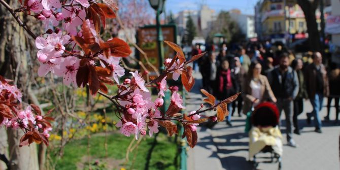Eskişehir’de Kartpostallık Bahar Görüntüleri
