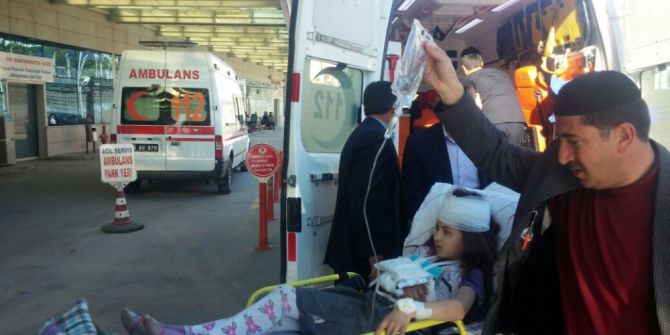 Eşek Tarafından Isırılan 3 Çocuk Hastaneye Kaldırıldı