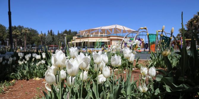 Göl Restorant Hizmete Başladı