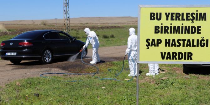 Diyarbakır’da Şap Hastalığı Tatbikatı Yapıldı