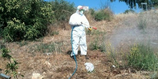Düzce Belediyesi Haşere İle Mücadele Çalışması Başlattı