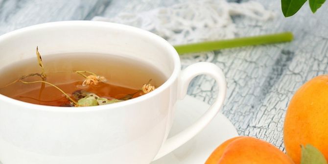 Gülsoy: “Her Bitkinin Kendine Has Olan Faydalarından Yararlanmak Gerekir”