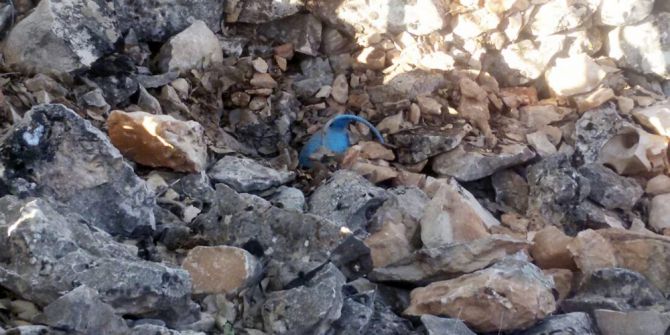 Mardin’de Ele Geçirilen Patlayıcı İmha Edildi