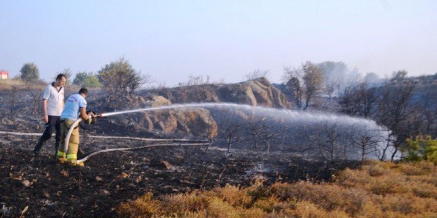 Endemik Bitkiler Yandı