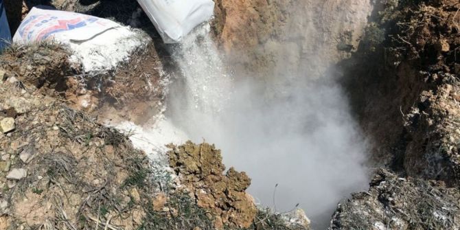 Reşadiye’de Kuş Gribi Alarmı