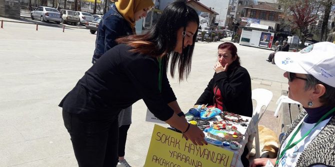 Sokak Hayvanları Aşılandı