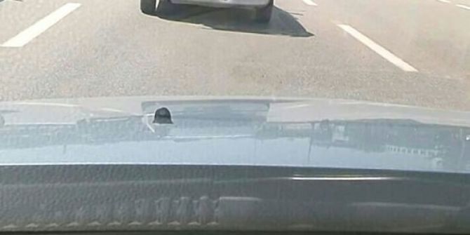 Bagajda Ölümüne Yolculuk