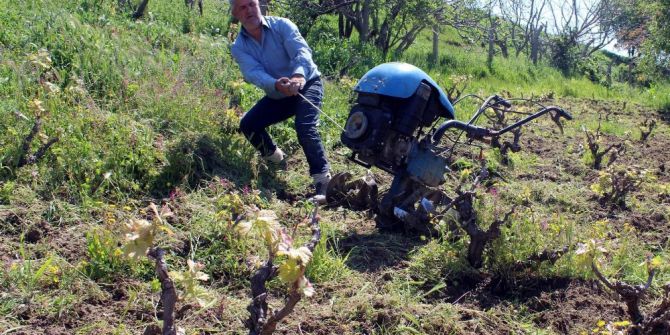 Üzüm Bağlarında Geçen Bir Ömür