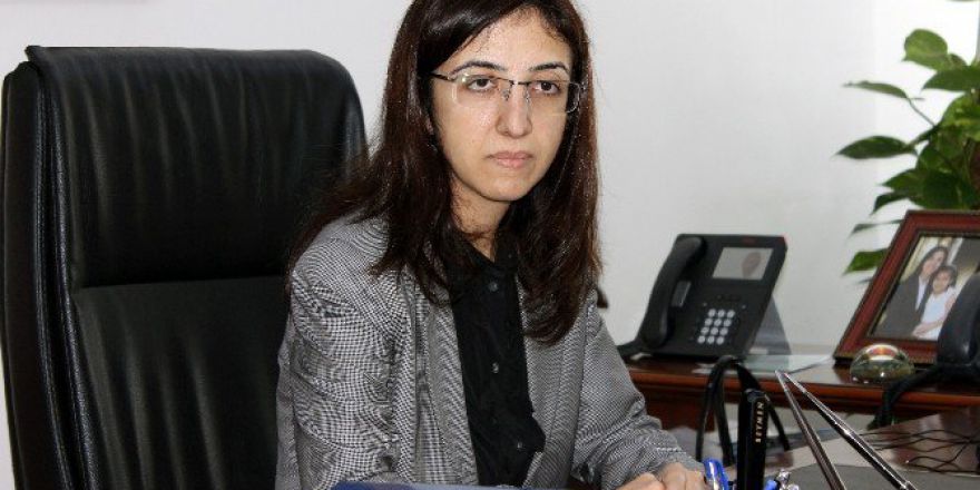 Vali Yılmaz: "Dünyaya Demokrasi Dersi Verdik"