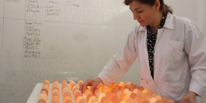 Çocuğunun Yumurta Alerjisi, Anneye Tavuk Çiftliği Kurdurdu