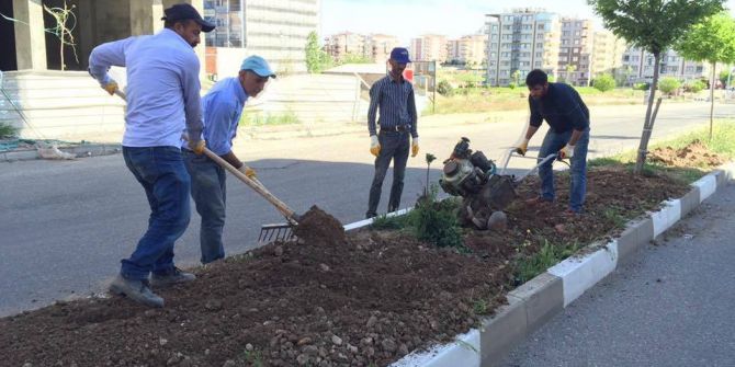 Kahta İlçesinde Refüjler Yenileniyor