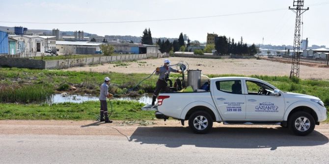 Gaziantep Büyükşehir İlaçlama Çalışmalarını Sürdürüyor