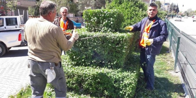 Gölbaşı İlçesinde Bulvarlarda Ve Parklarda Peyzaj Çalışması