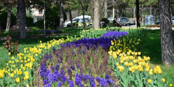 Gediz Yaşam Parkında Renk Cümbüşü