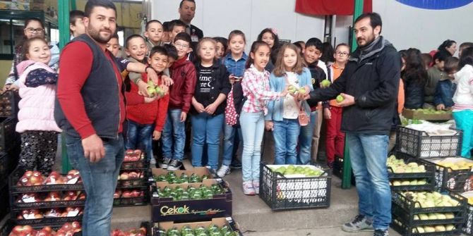 Sebze Halinde Sosyal Bilgiler Dersi