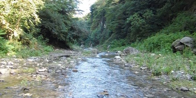 Ordu’da 49 Dere Islah Edilecek