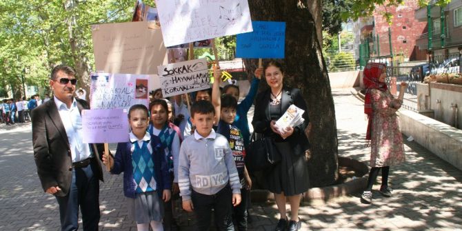 Devrekli Öğrencilerden Sahipsiz Sokak Hayvanları İçin Anlamlı Yürüyüş
