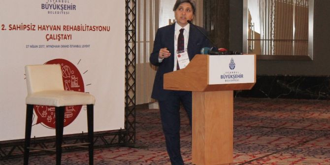 İbb Veteriner Hizmetleri Müdürü Coşkun: “İstanbul Genelinde Sahipsiz 130 Bin Köpek, 125 Bin De Kedi Olduğunu Öngörüyoruz”