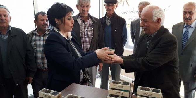 Büyükşehir Arıcılığı Destekliyor